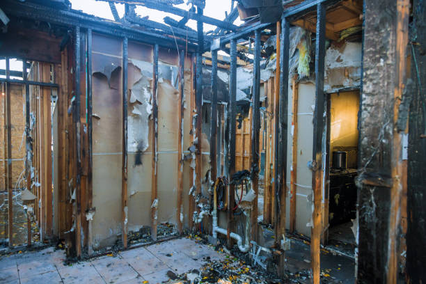 Professional Fire Damage Removal technician working in National Park, NJ