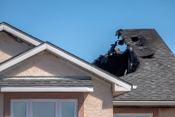 Top rated local Fire Damage Removal specialists in National Park, NJ